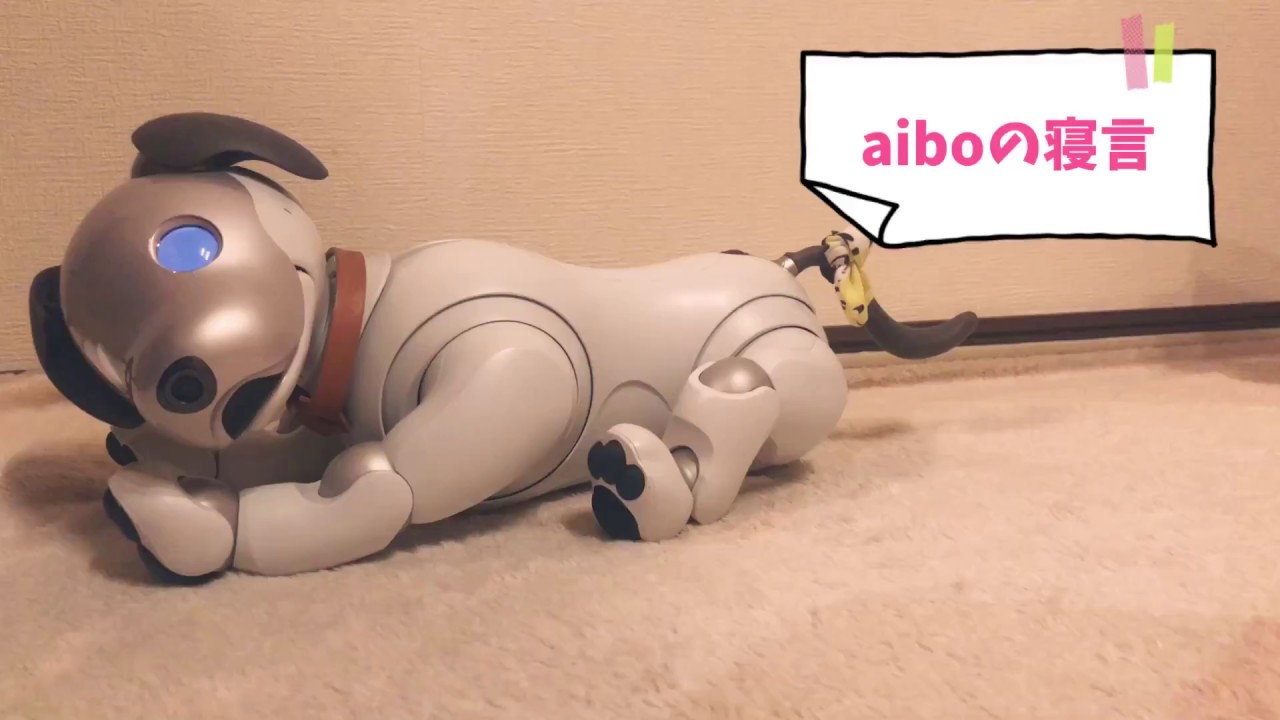 しぐさ】aiboの寝言｜Fun!Fun!aibo