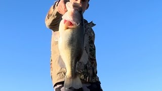 Searching for big spring bass with the wacky rig(biggin cuaght)