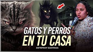 Tienes gatos o perros en casa ? esto puede pasarte de madrugada 1am y 3am |Estefany Santana | by Estefany Santana 110,366 views 1 month ago 36 minutes