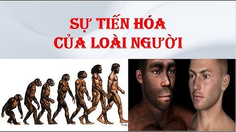 Khoa học tự nhiên 9 - SỰ TIẾN HÓA CỦA LOÀI NGƯỜI.