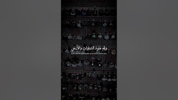 هُوَ الَّذِي أَنْزَلَ السَّكِينَةَ فِي قُلُوبِ الْمُؤْمِنِينَ | سورة الفتح | محمد صديق المنشاوي