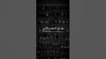 هُوَ الَّذِي أَنْزَلَ السَّكِينَةَ فِي قُلُوبِ الْمُؤْمِنِينَ | سورة الفتح | محمد صديق المنشاوي