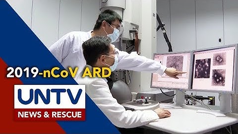 Scientists link endangered pangolin to novel coronavirus spread