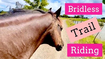 Bridless Trail Riding : When You Keep The Horse You Both Win | Lara CC Horsemanship