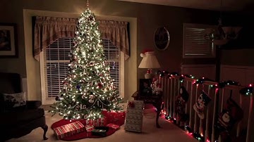 Rotating Christmas Tree Stand