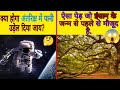 ऐसा Tree जो इंसान ke जन्म se pahle se पृथ्वी par मौजूद hai.😱 |The FactX #subcribe #youtube