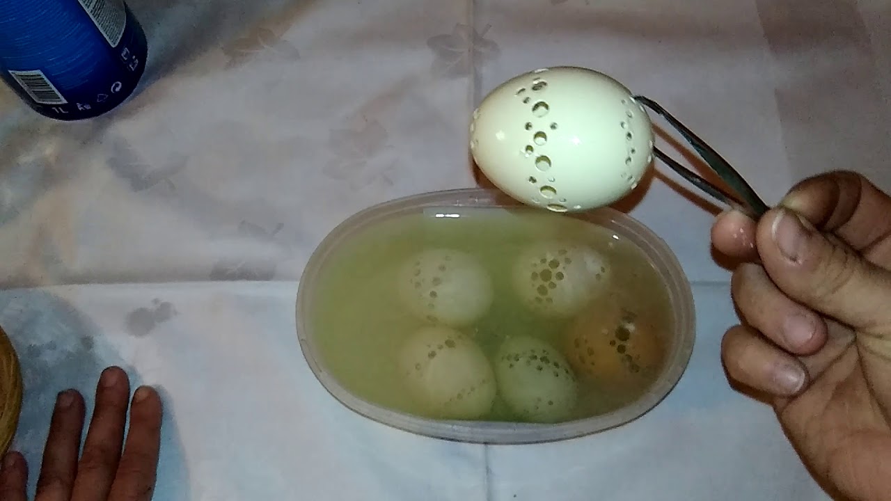 bielenie vajíčok, Veľkonočné kreácie