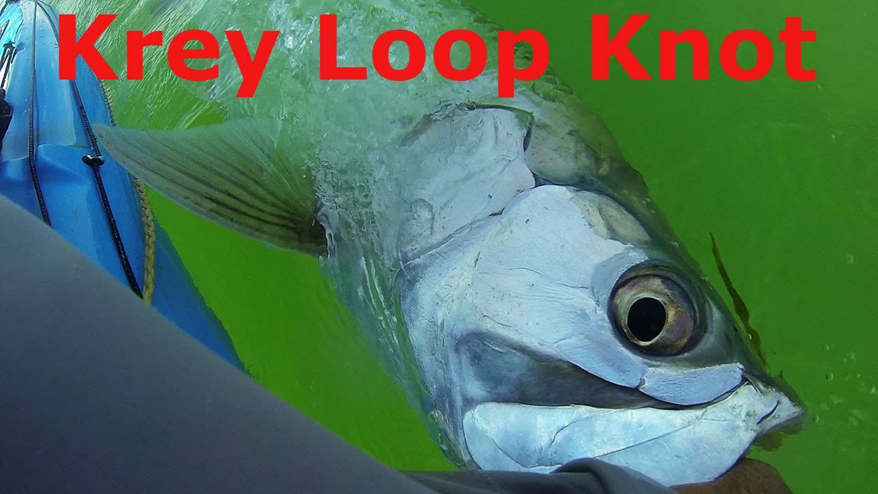 Kreh Loop Knot And A Tarpon YouTube