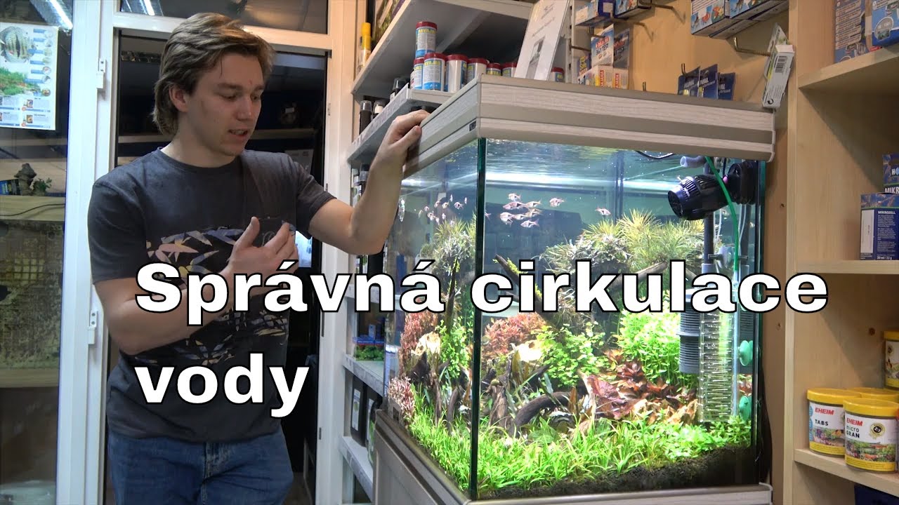 Juwel Akvarium - Jak vyčistit externí filtr - YouTube