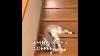 I think I need coffee