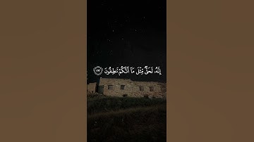 #اكتب شئ تؤجر عليـــه ..♡ |القارئ اسلام صبحي 🤍
