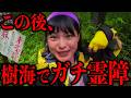 「本物」が映り込んでしまった事例