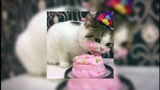 rossa - pudar (sped up)