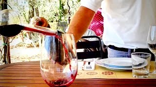 AMAZING WINE from Small Family Owned Italian Winery