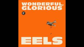 Eels - I Am Building A Shrine