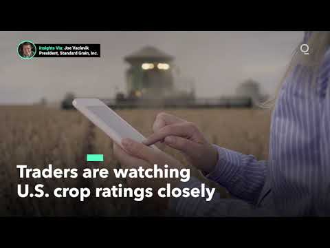 Traders Are Watching U.S. Crop Conditions Closely