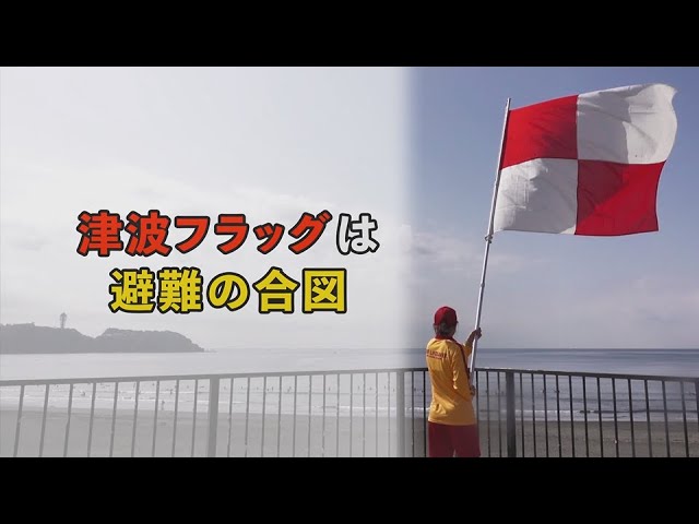 TSUNAMI FLAG