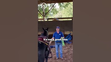 Quick Tips To Gain Confidence With Your Horse! | The Horse Guru-Michael Gascon