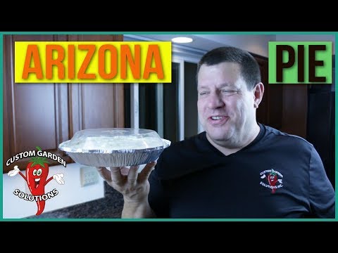 Arizona Pie - What I Used The Seville Oranges For