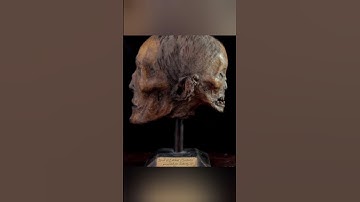 Edward Mordrake | Ventana_Short | Short | Facts | #facts #two #face #horror #mystery #shorts