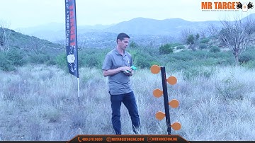 Mr Target Dueling Tree 22 Caliber Accessory Plates