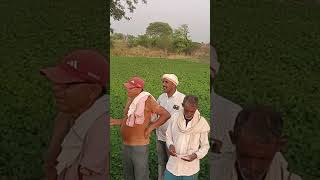 iffco-mc product humetsu