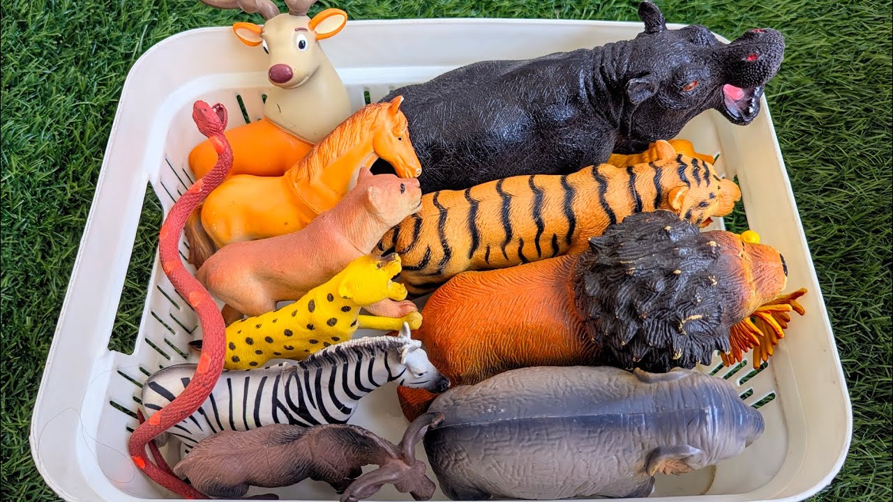 Животные из зоопарка и сафари для детей | Изучаем названия животных и их среду обитания на англий...