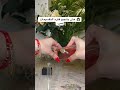 عمليه قالتلي مش بشجع فكرة التقسيمات وتقسيمه برفيوم برادا عمليه قالتلي مش بشجع فكرة التقسيمات وتقسيمه برفيوم برادا