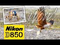 Nikon D850 | Photographing Birds and Blue Soldier Crabs