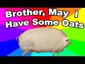 What is brother may i have some oats the history and origin of the pig oats meme