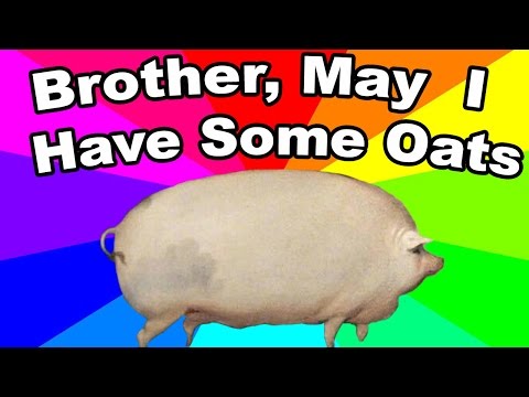 what-is-brother-may-i-have-some-oats?-the-history-and-origin-of-the-pig-oats-meme