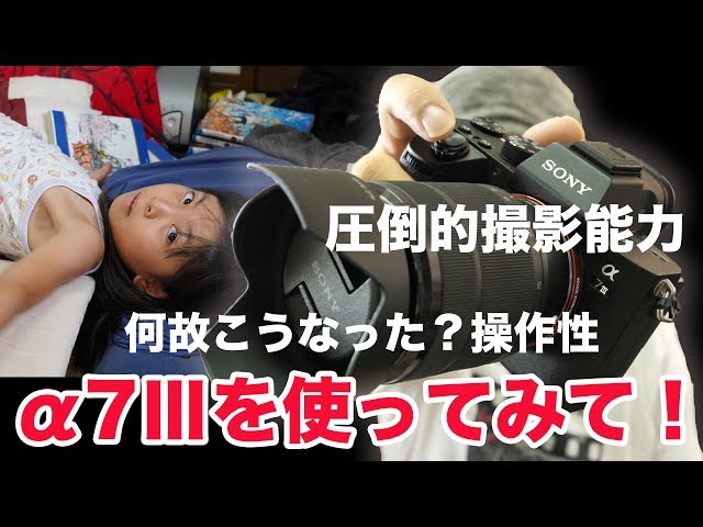 カメラ】SONYのお手頃？フルサイズミラーレスカメラα7Ⅲのお話を