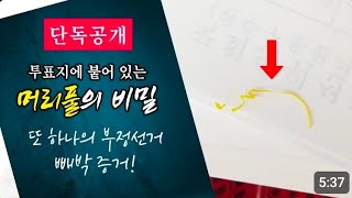 가짜투표지들 설명, 왜더카르텔 커밍순~~