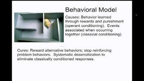 PSY 6506 Psychopathology - Part 4  |  Course Introduction