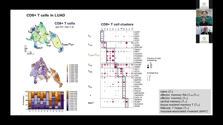 HCA Meeting Asia 2020: Co-current 1-3b - Single cell transcriptome analysis of lung cancer - DayDayNews