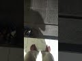 fake jump