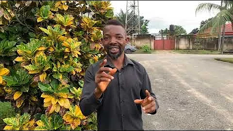 All Eyes On The Judiciary