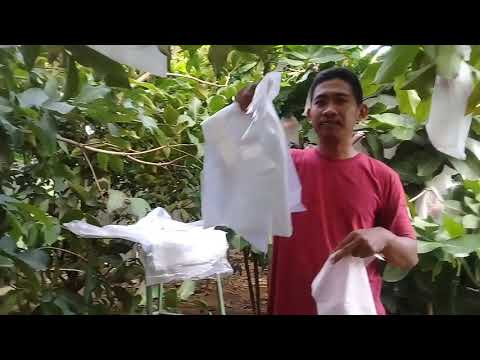 Video: Apa itu metode pembungkus?