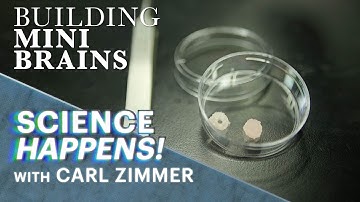 Science Happens! | Episode 3 | Building mini-brains to understand the human mind