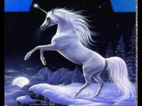 Орк. Оазис - Седем Бели Коня Ork. Oazis - Sedem Beli Konia