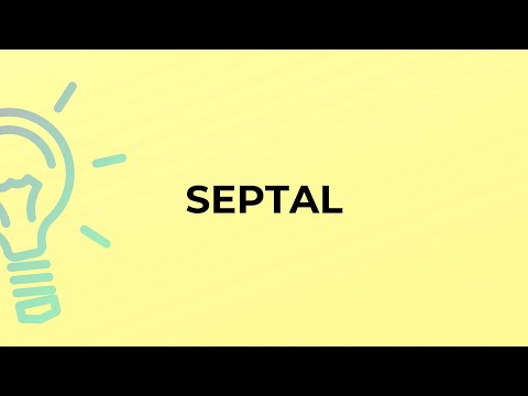 Vídeo: Septile é uma palavra?
