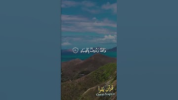 يوم تجد كل نفس ما عملت من خير #سورة_آل_عمران #القرآن_الكريم #ياسر_الدوسري #اكسبلور#راحة_نفسية #لايك