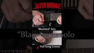 Finally Doing the "Blackbird" Solo #marktremonti #alterbridge #myleskennedy