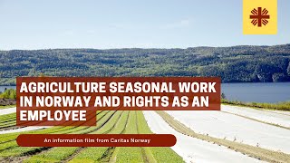 Agriculture seasonal work in Norway and rights as an employee