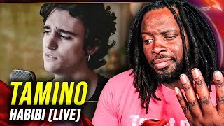 Tamino - Habibi (Live) | REACTION