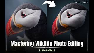 Transform Wildlife Photos Into Cinematic Edits | Photoshop Editing Masterclass 🦁 #photoshop screenshot 3