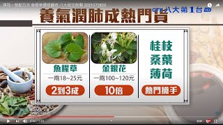 清冠一號配方夯魚腥草價格翻倍八大民生新聞2021072820 