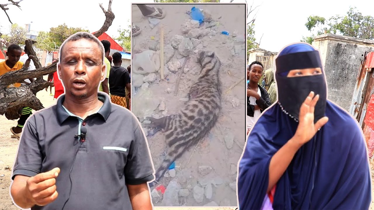 DEG DEG: Bahal aan noociisa la aqoon oo Hooyo iyo Sedexdeeda Caruur ah ku cunay Muqdisho.