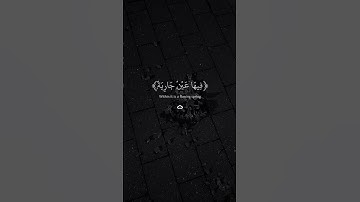 قران كريم بصوت عبد الرحمن مسعد Listen to 💙ارح سمعك.. تلاوة هادئة تريح القلب والعقل #تلاوة_خاشعة #ق