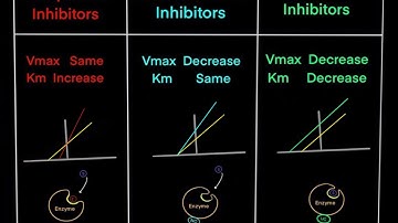 Introduction to Competitve Inhibitors, Noncompetitve Inhibitors & Uncompetitive Inhibitors (PART 2)